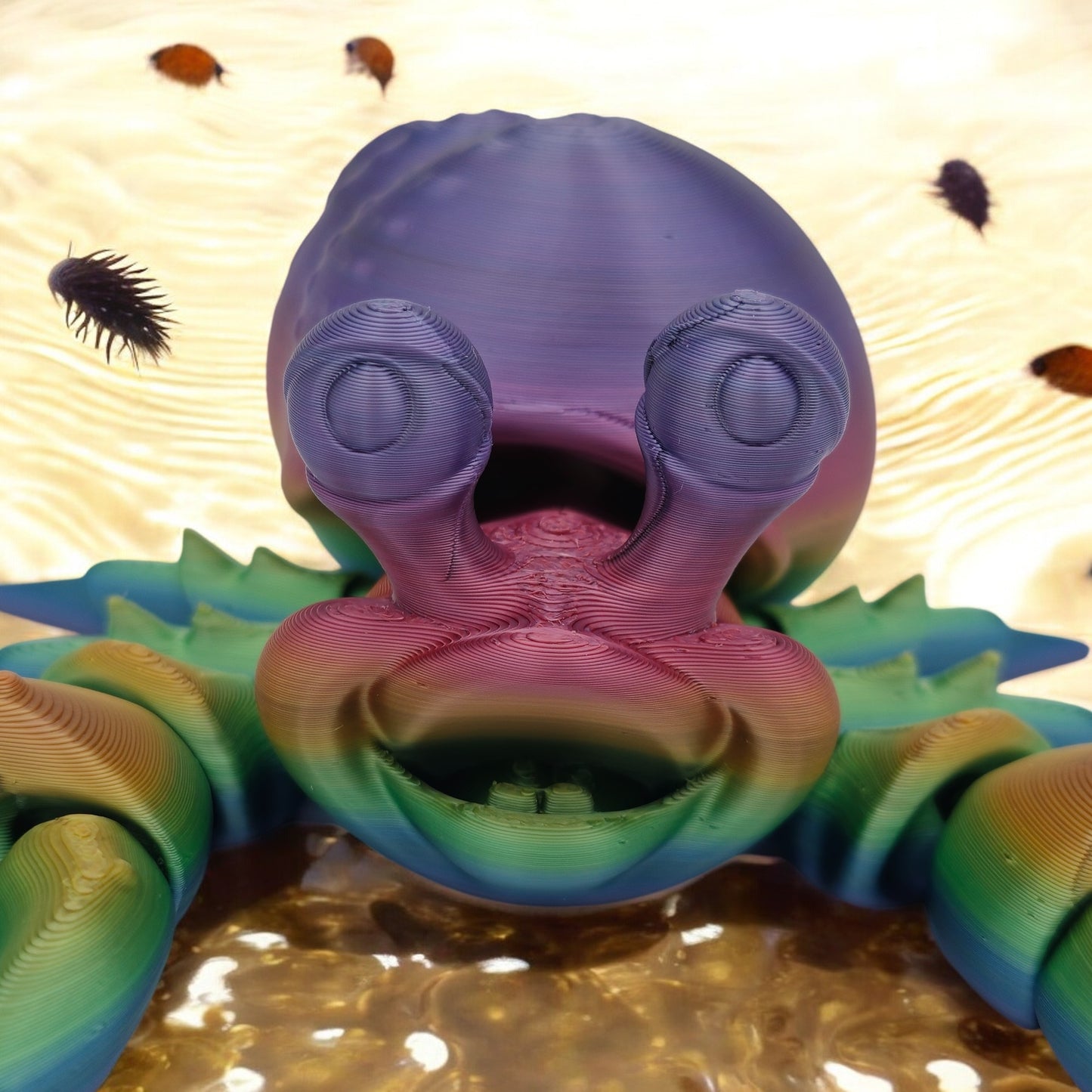 Hermes the Hermit Crab