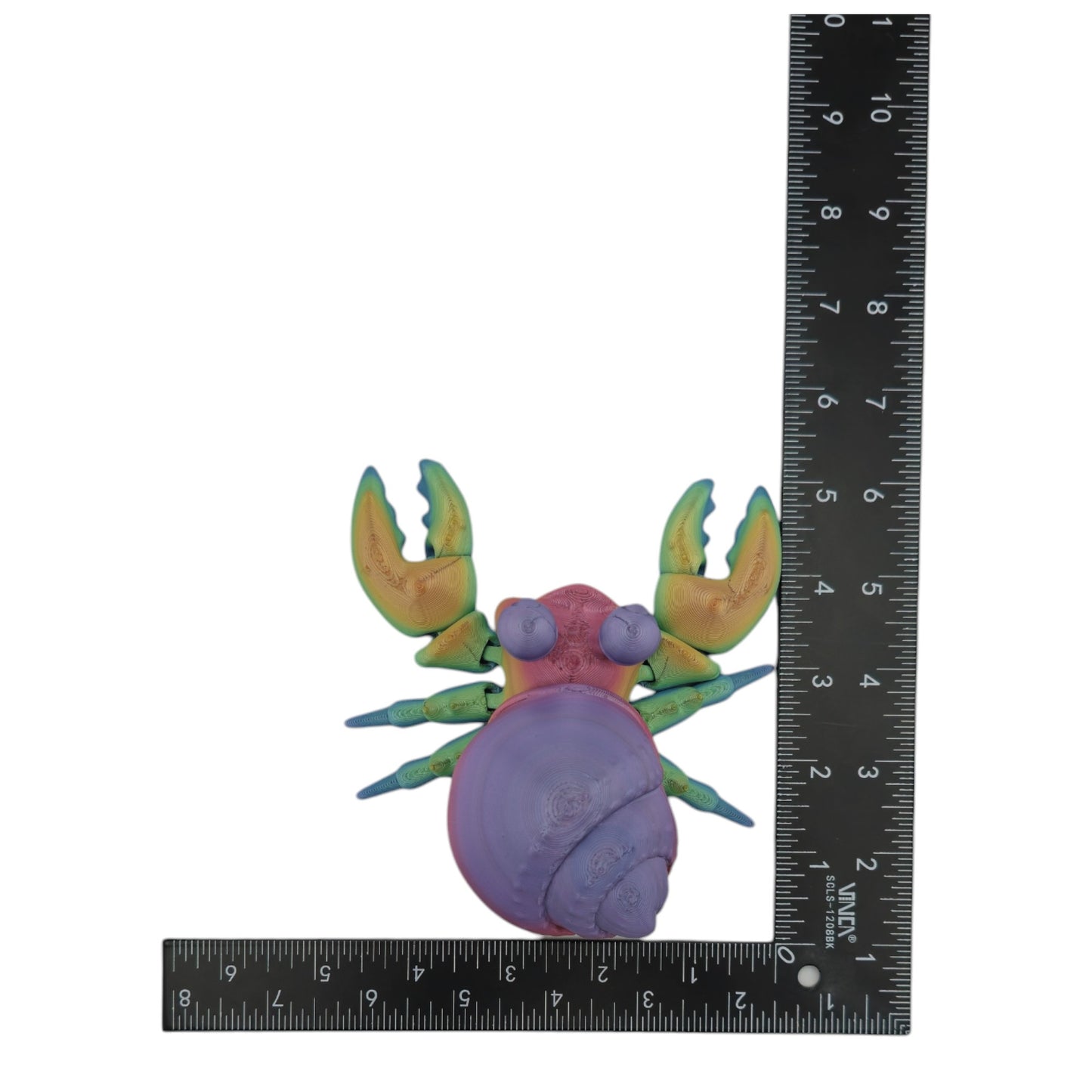 Hermes the Hermit Crab