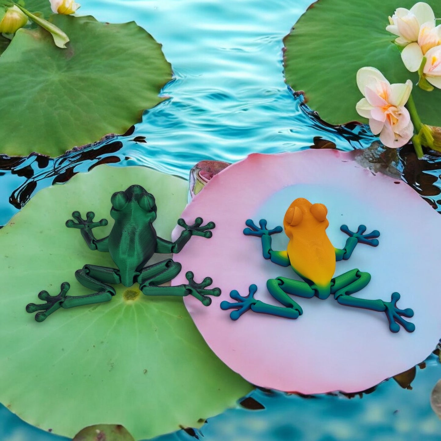 Lilly Leap Frog