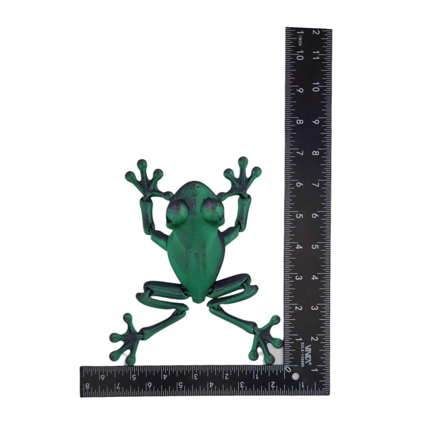 Lilly Leap Frog
