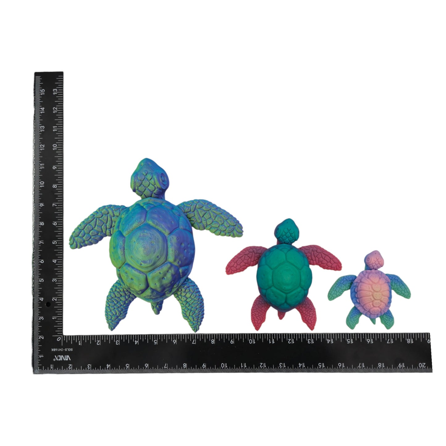 Seagrass Sea Turtle
