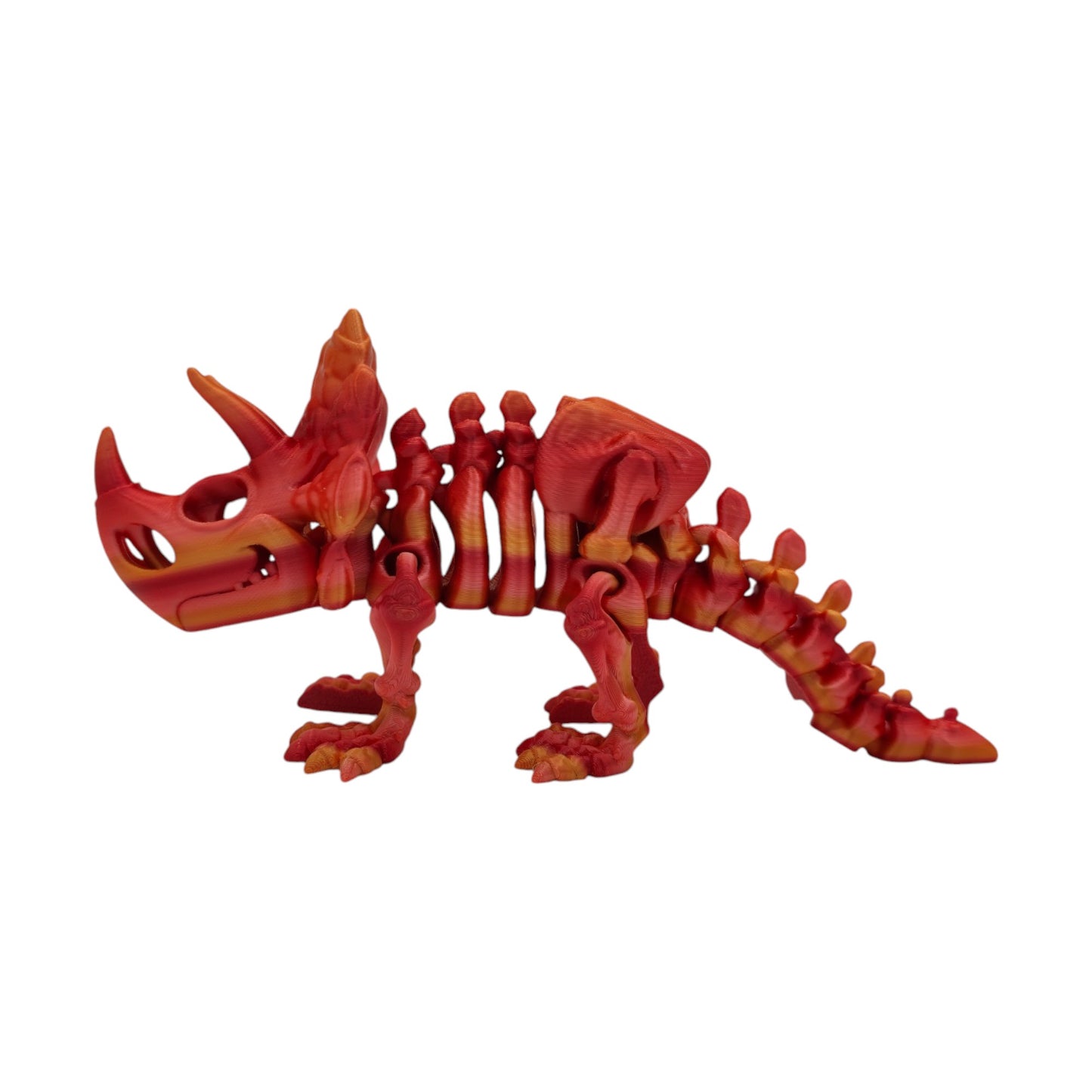 Skeletal Triceratops