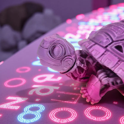 Cyber Tortoise