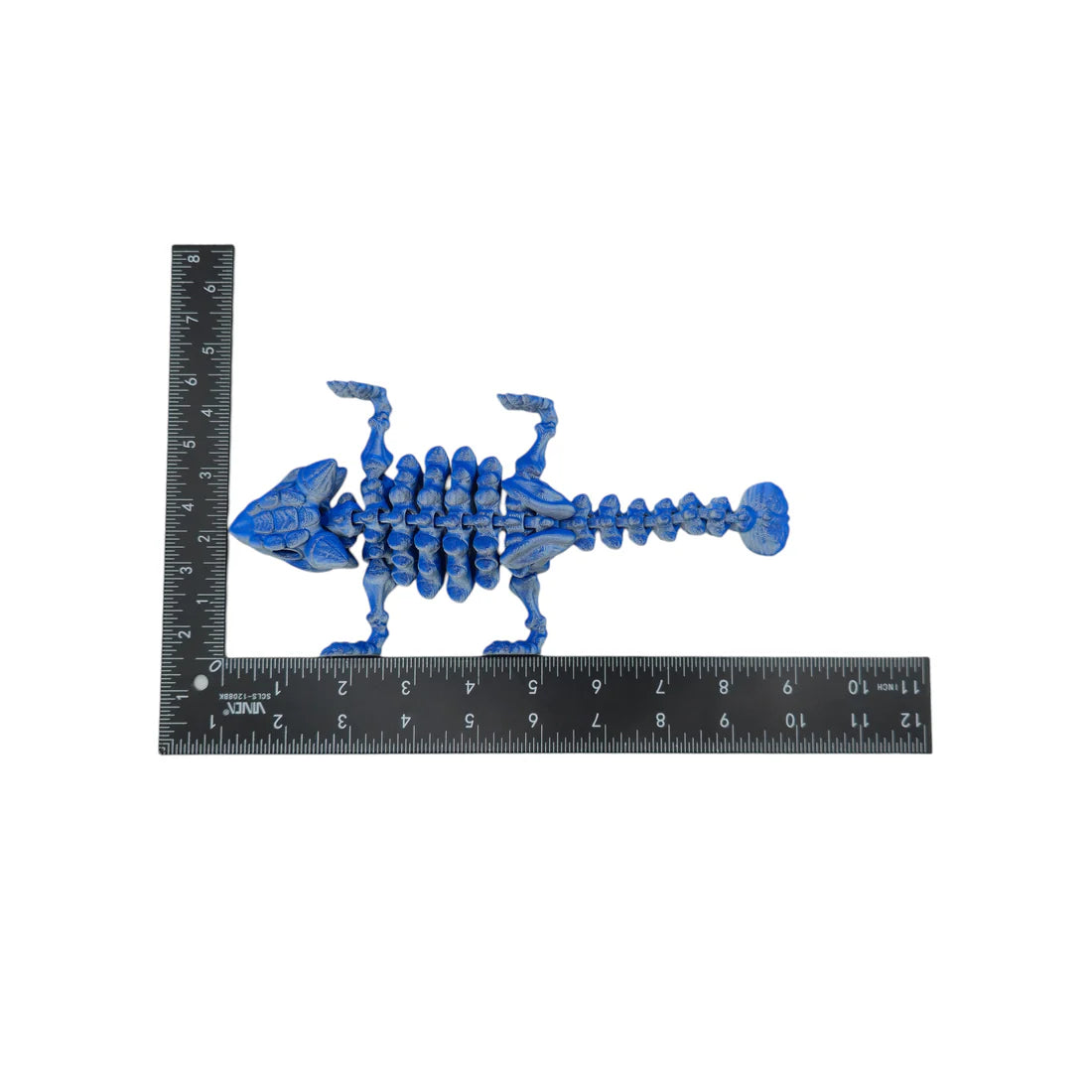 Skeletal Ankylosaurus