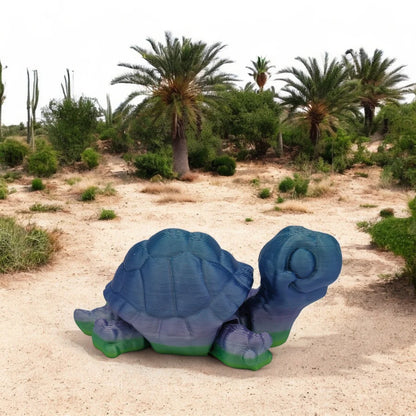Baby Slowmo Tortoise