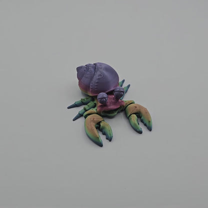 Hermes the Hermit Crab