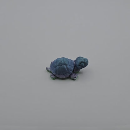 Baby Slowmo Tortoise