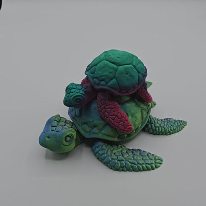 Seagrass Sea Turtle